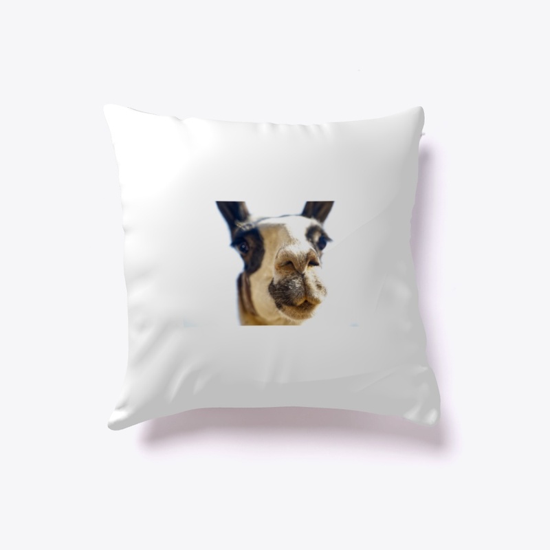 Camel Indoor Pillow