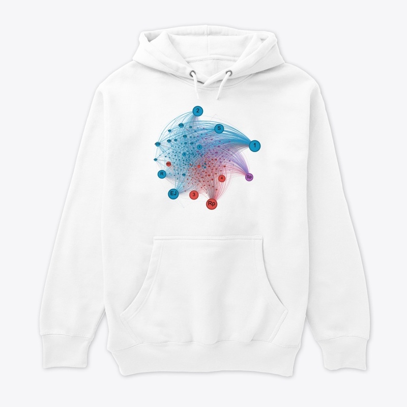 C. Elegans Neural Network