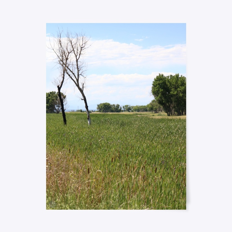 Prairie 1