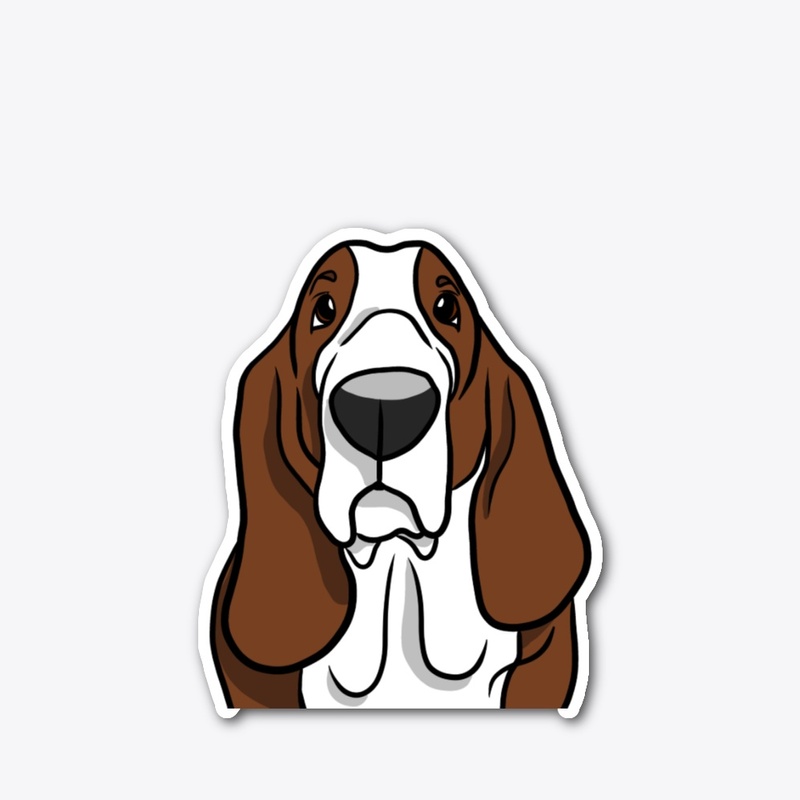 Basset Hound