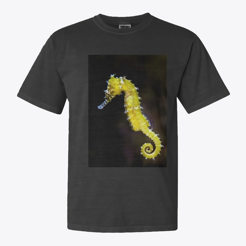 t shirt woman