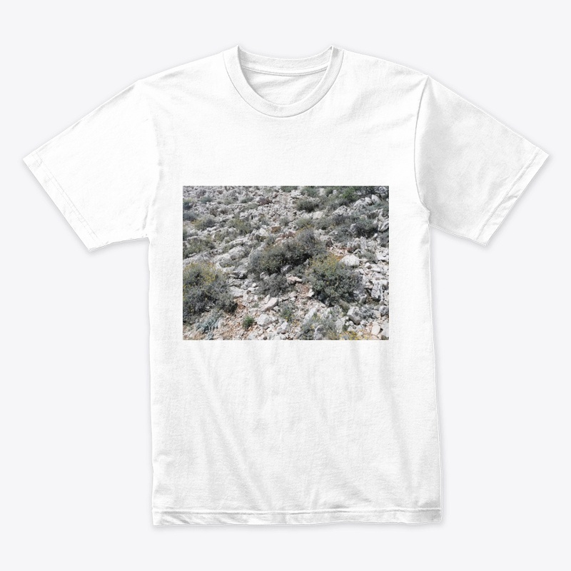 Immortelle