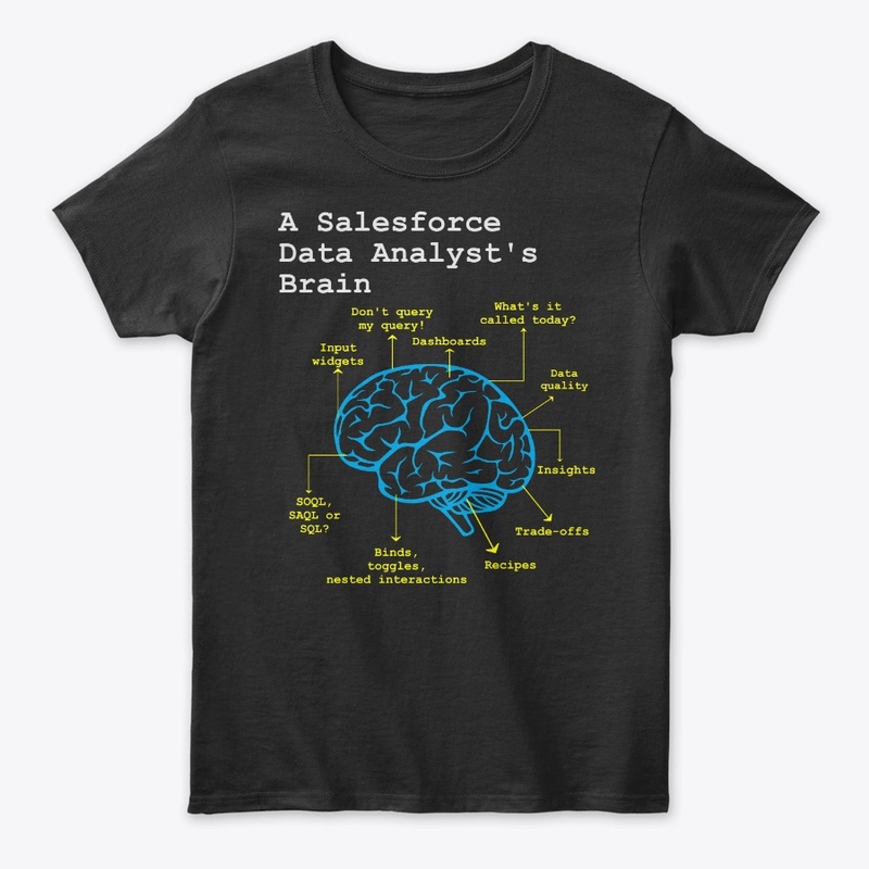 A Salesforce Data Analyst's Brain