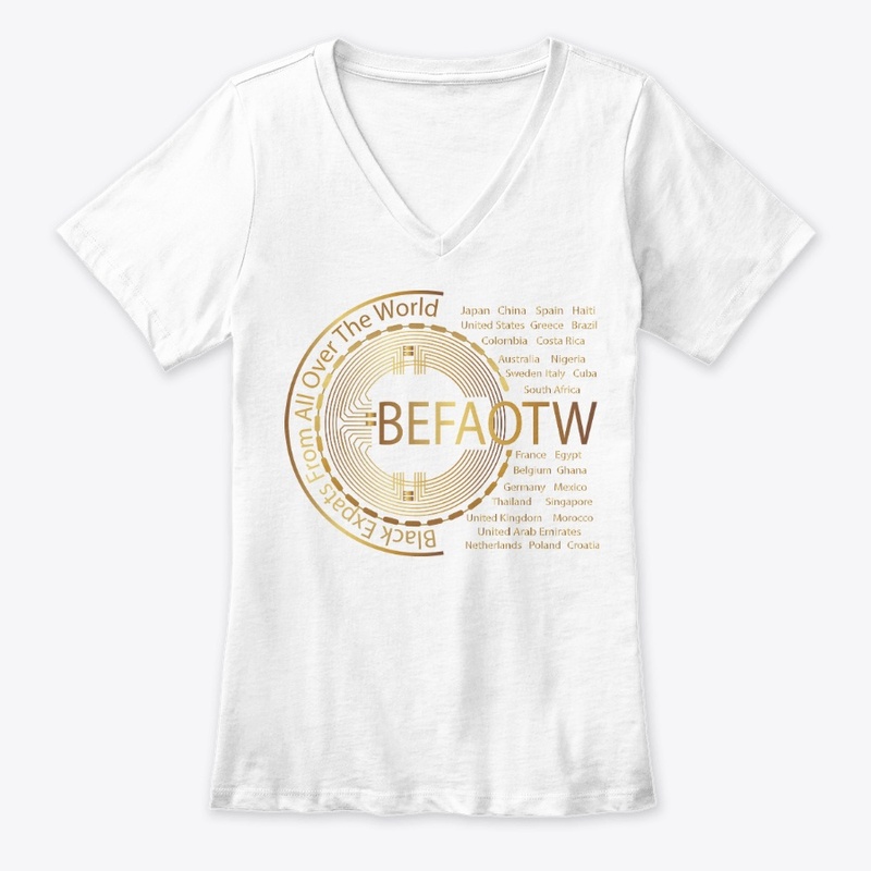 Women's Premium V-Neck Tee