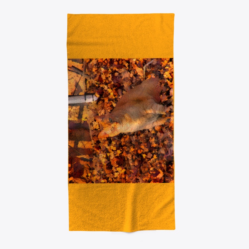 Golden Cat in Autumn Leaves