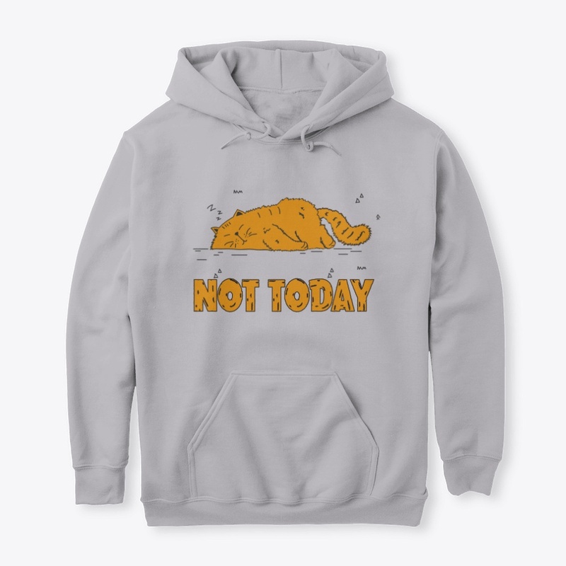 NO TODAY FUNNY CAT