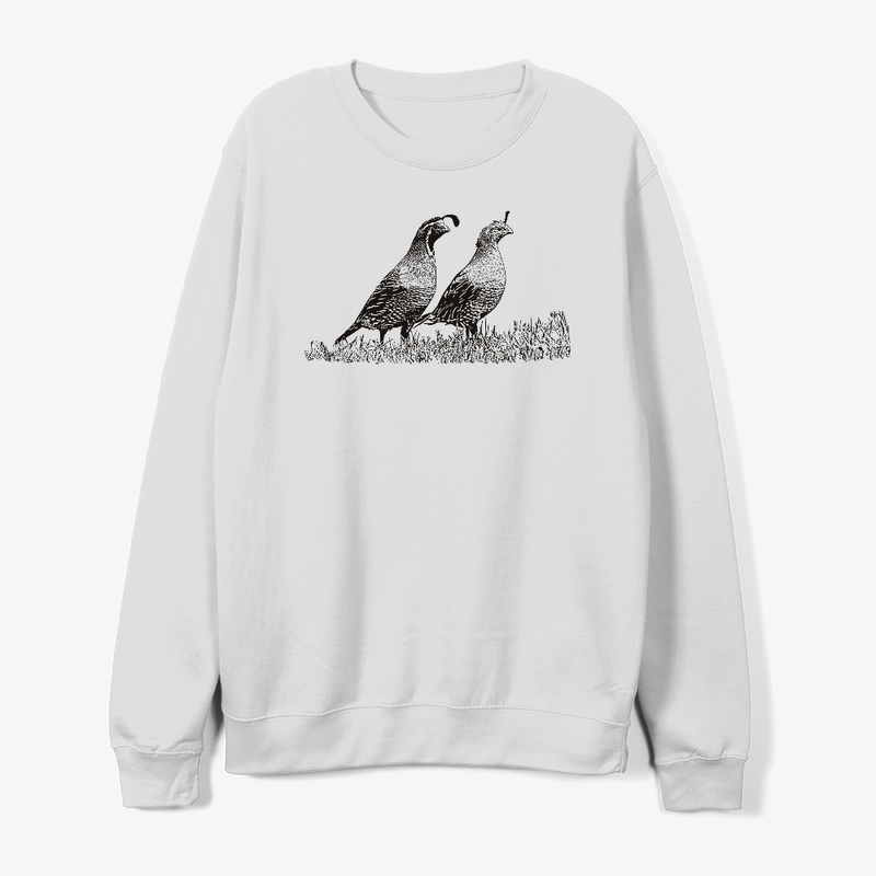 California Quail Birdwatching