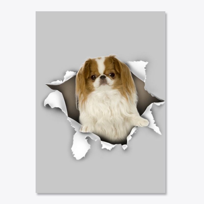 Japanese Chin Torn Paper