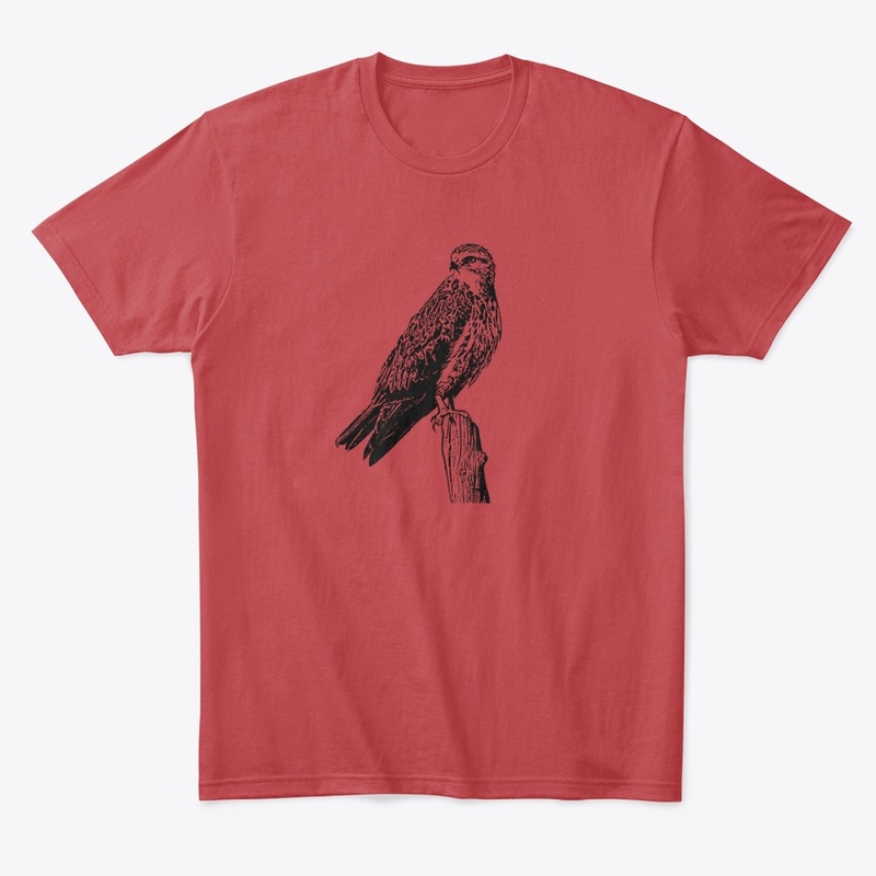 Birdwatching- Swainson's Hawk