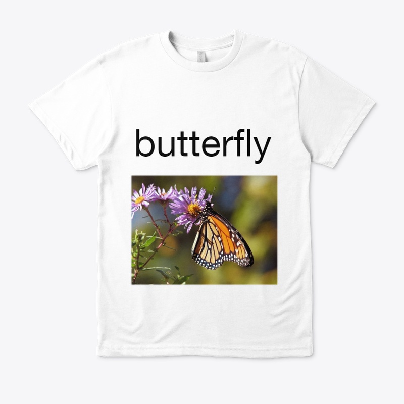 btterfly collection