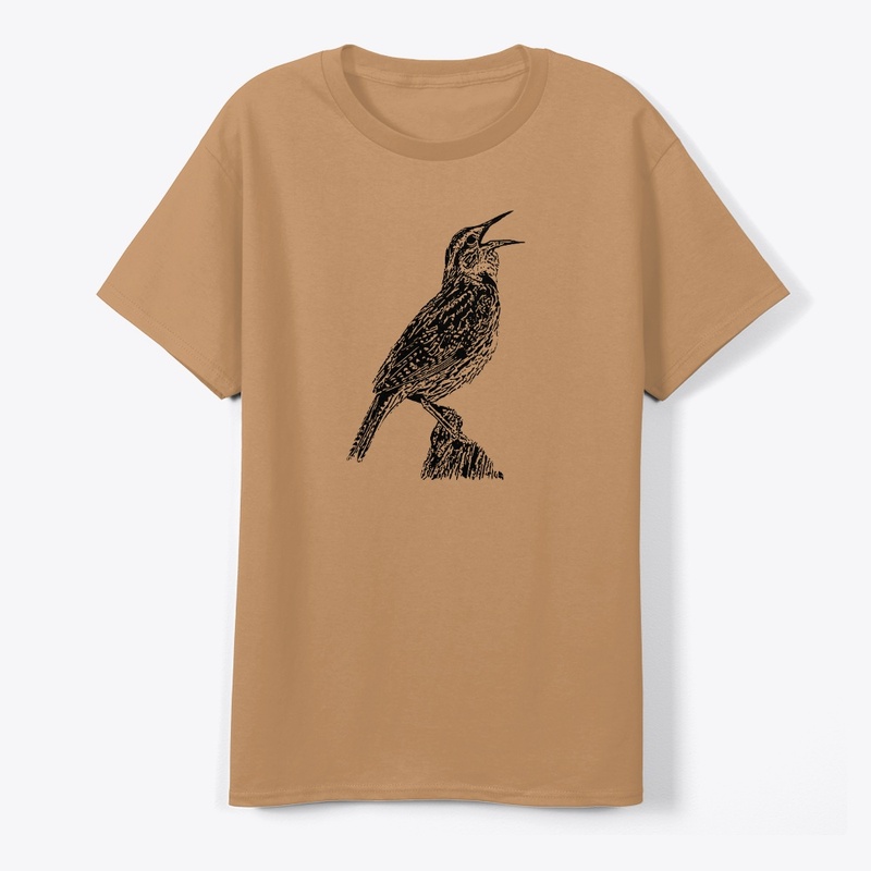 Singing Western Meadowlark Birdwatching