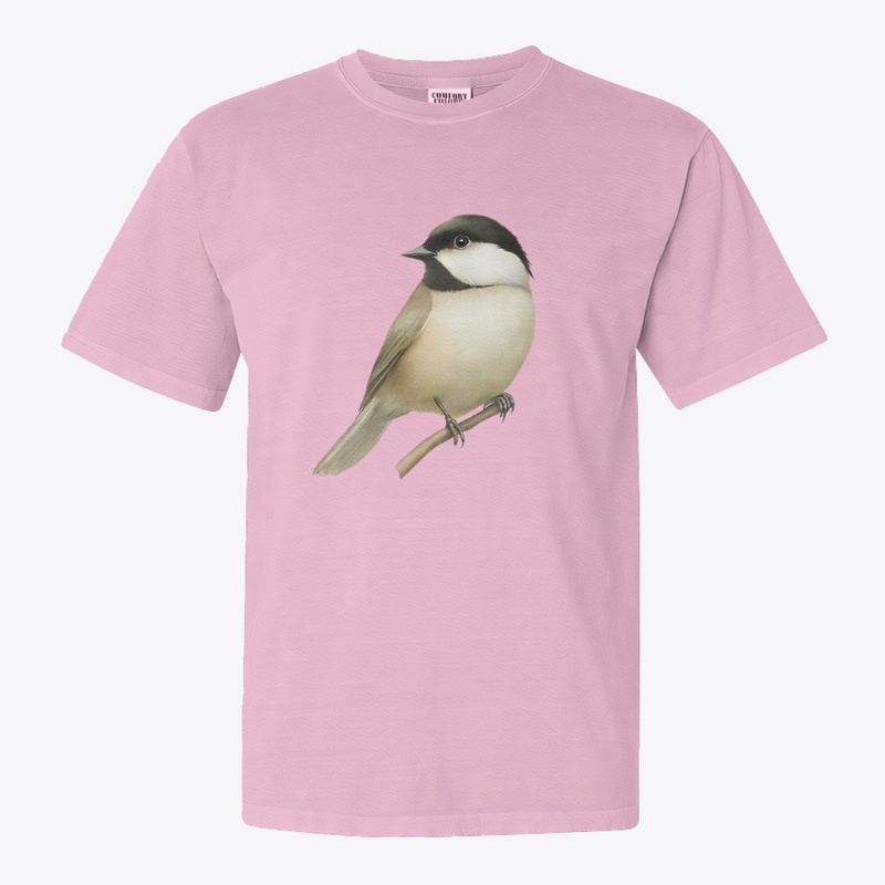 Chickadee Perched on a Branch