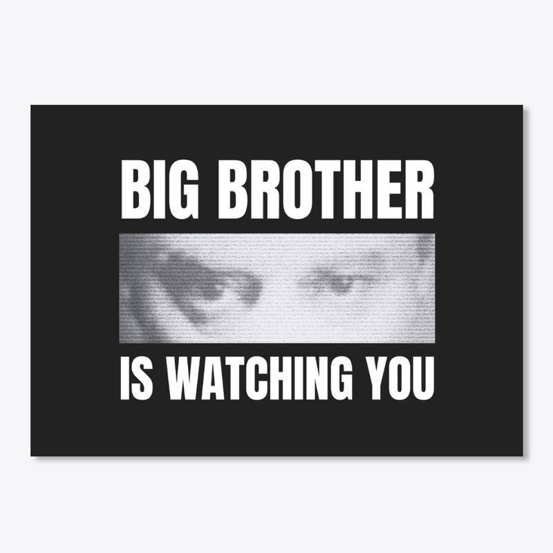 BIG BROTHER IS WATCHING YOU