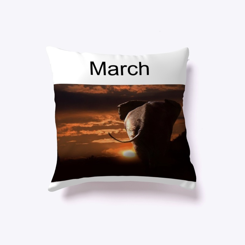 March Cushion