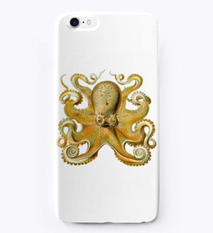 Sprawling Octopus by Ernest Haeckel