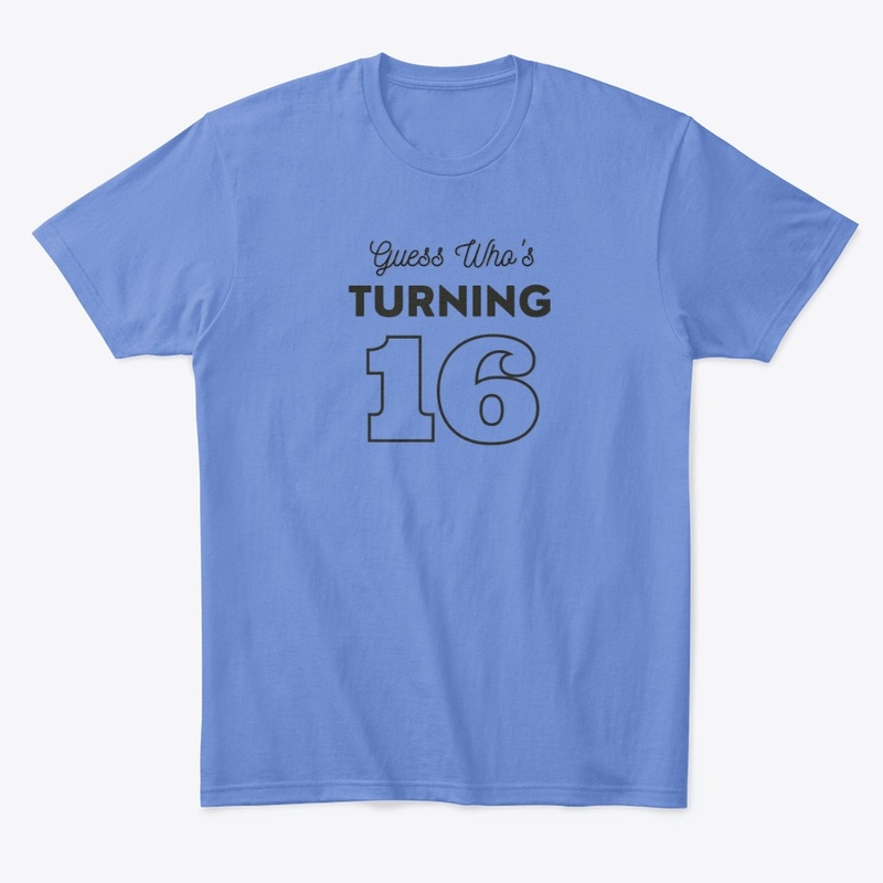 SIXTEEN TEE AND HOODIE