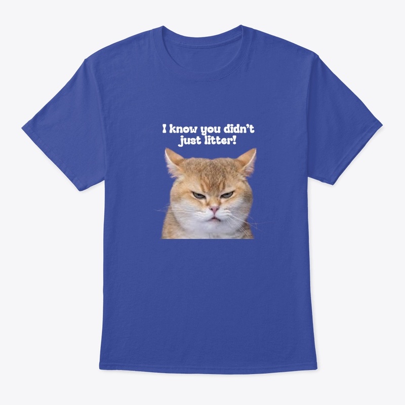 Upset Cat