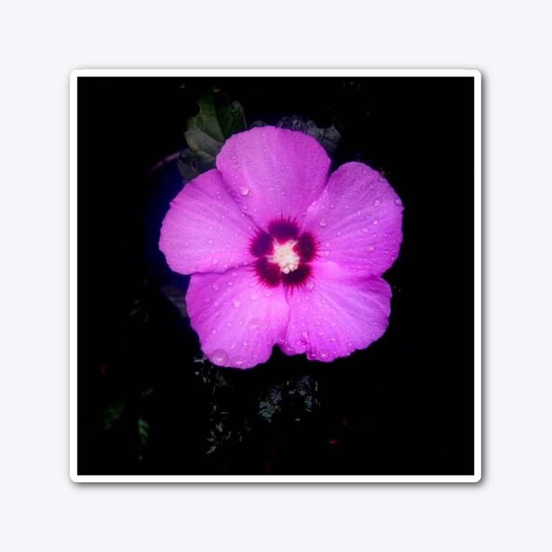 small purple flower 