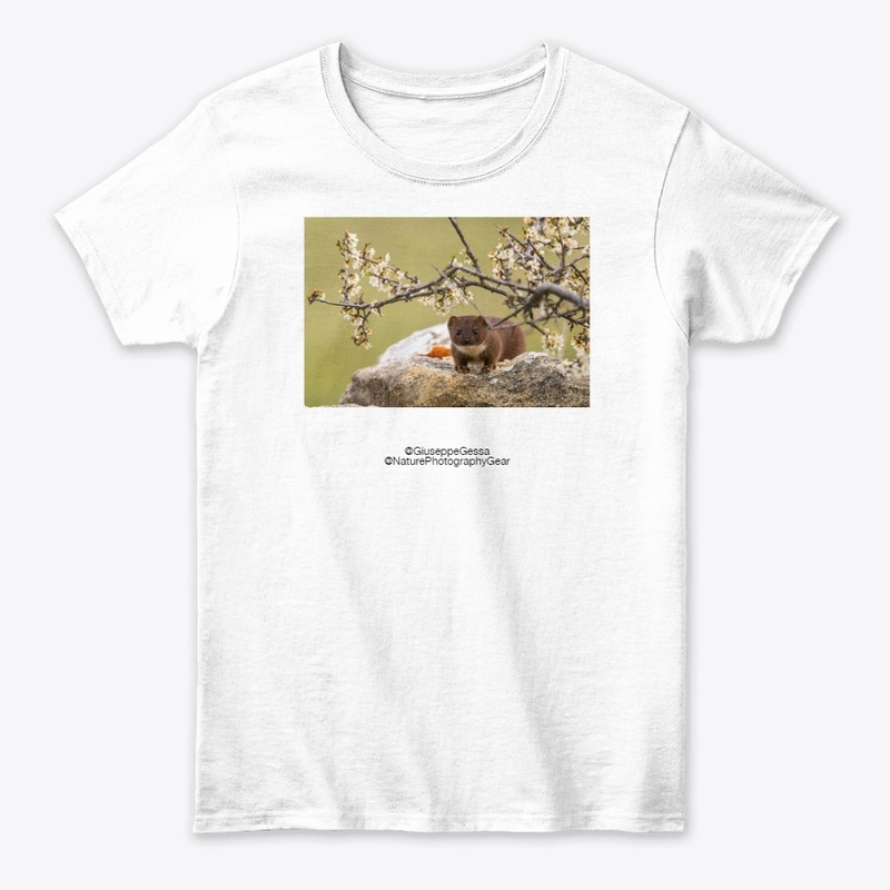 Least weasel