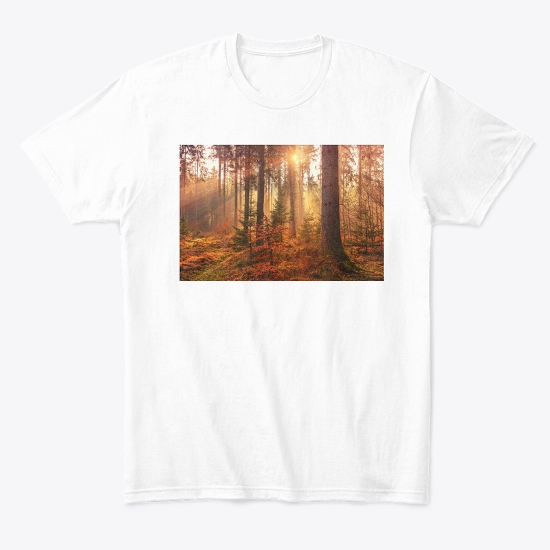 Value12 Sunshine in the forest