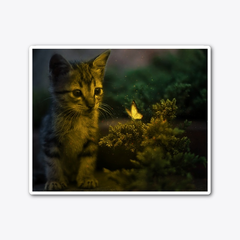 Cute cat