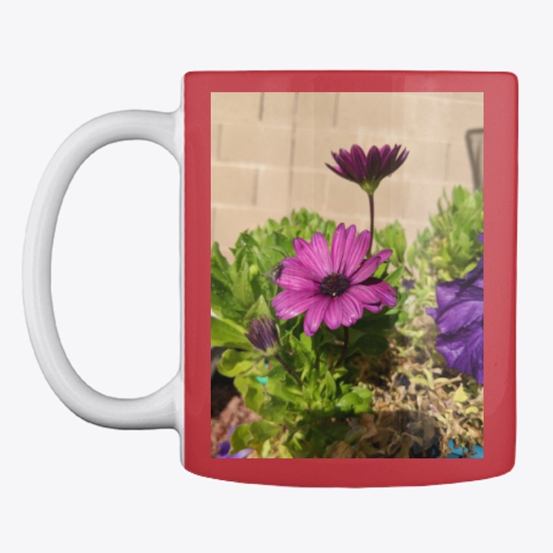 Purple daisy