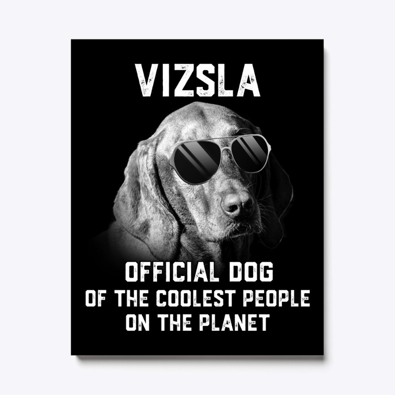 Vizsla, Official Pet Of Coolest People
