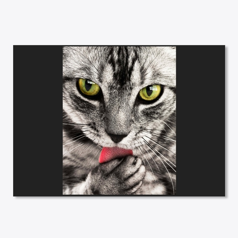 Cat s