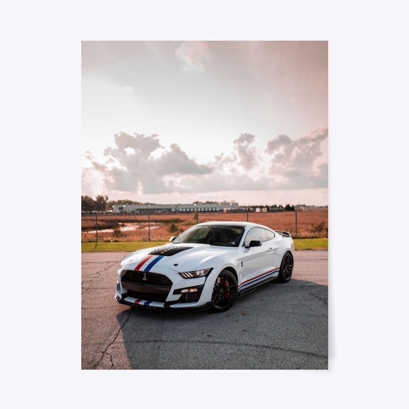 "Side Sunset" 2020 GT500 Wall Art