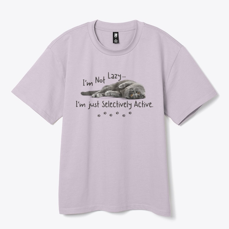 Lazy Gray Cat