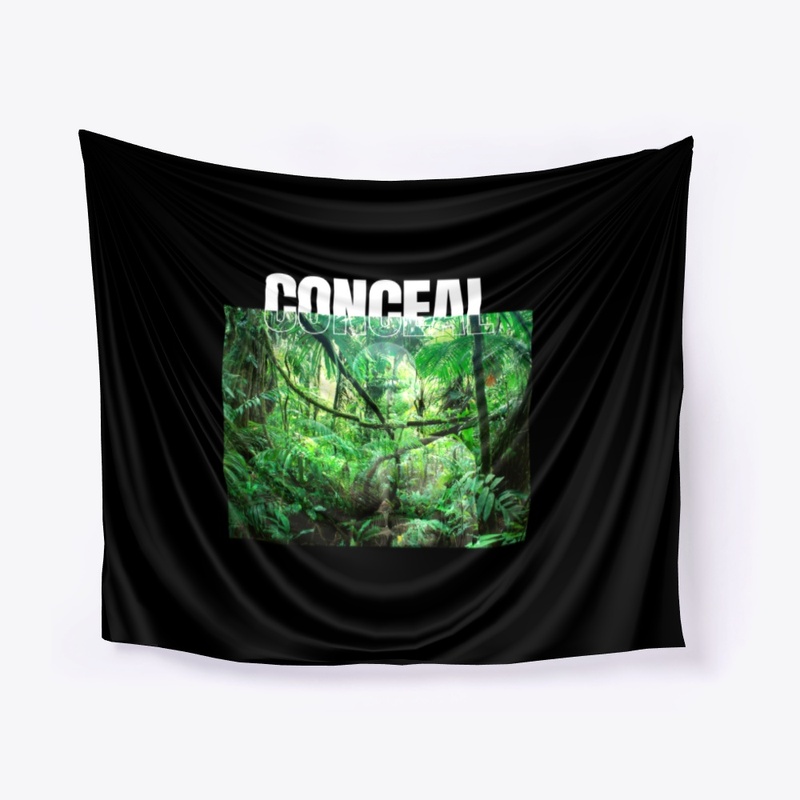 Conceal - The art of blending In