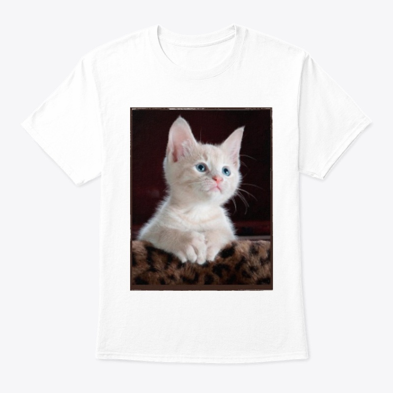 Cute little cat