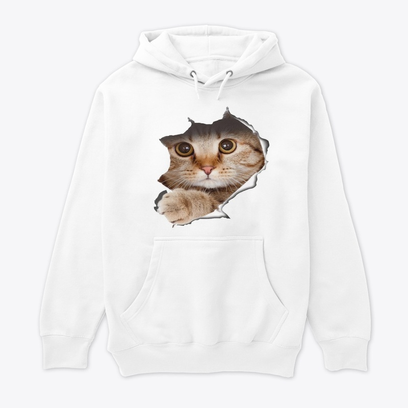 CAT IS COMING OUT