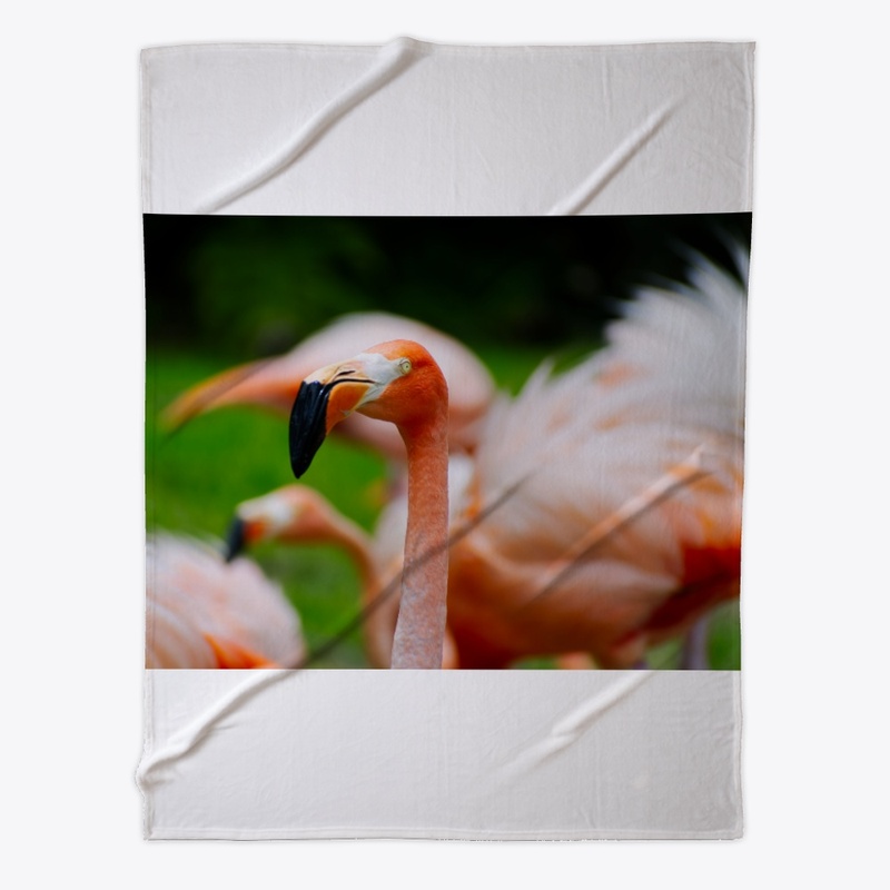 Flamingo by Michelle