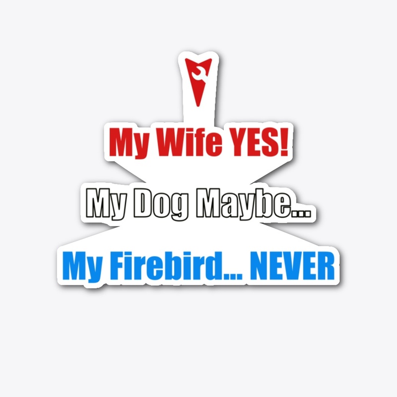 Not My Firebird