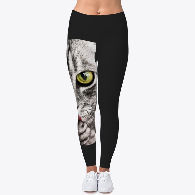 Cat s