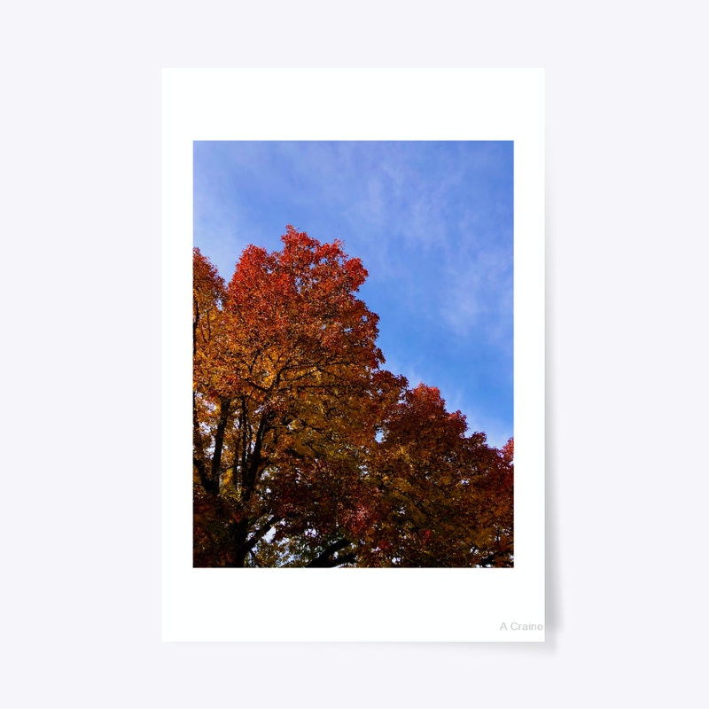 Fall Gradients