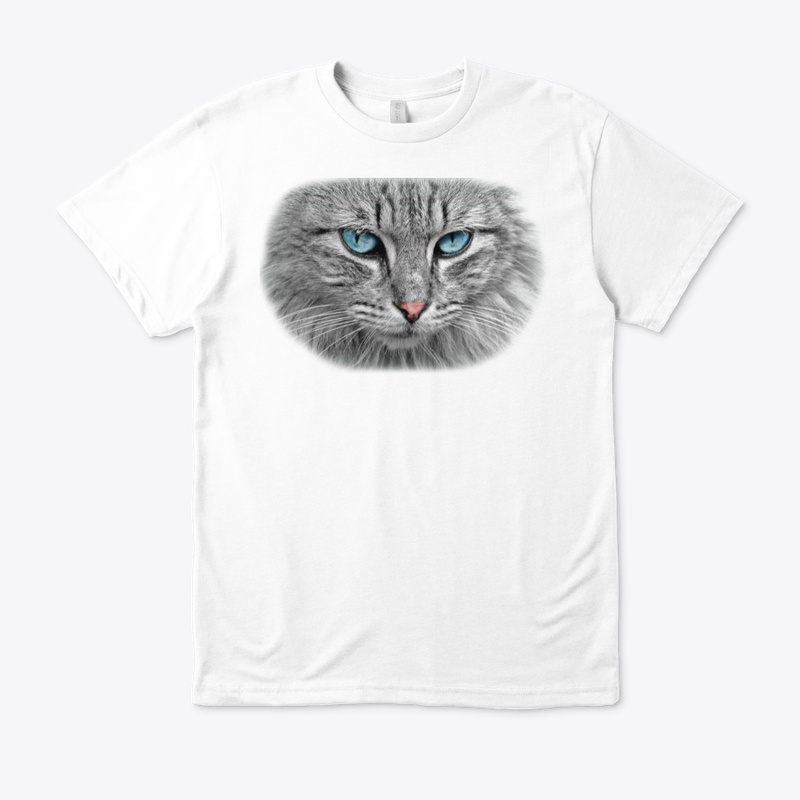 cute cat lovers