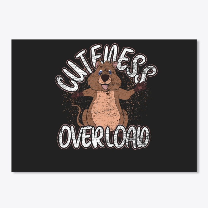 Quokka - Cuteness Overload