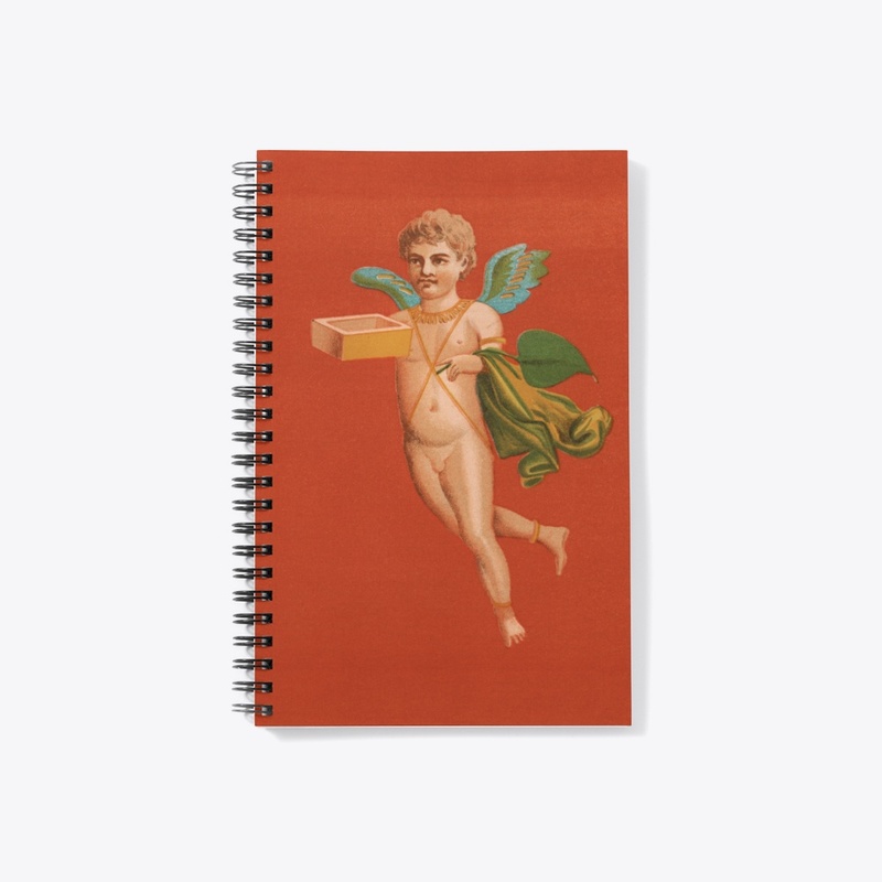 Pompeii 1891 Notebook