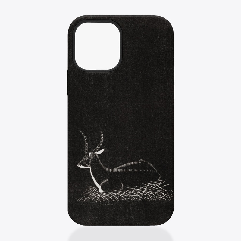 Waterbuck