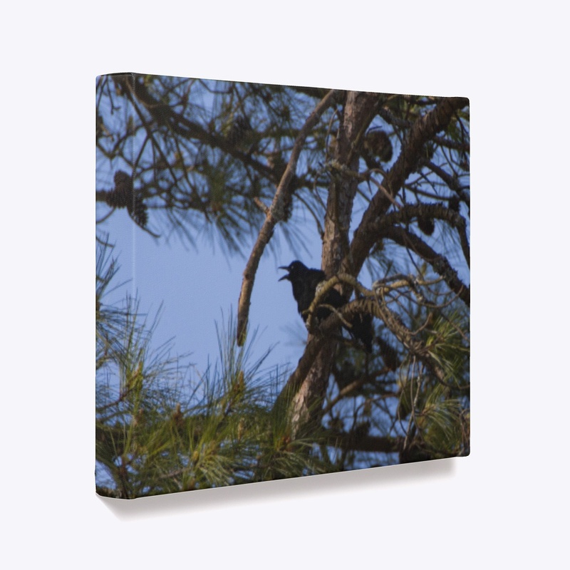 Screaming Bird