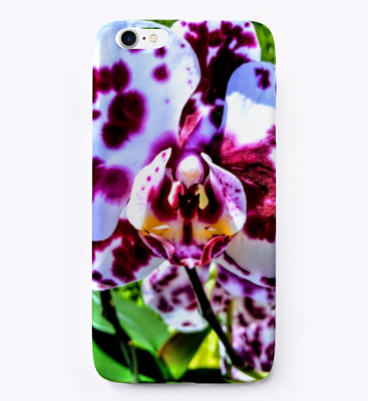 Colorful Orchid