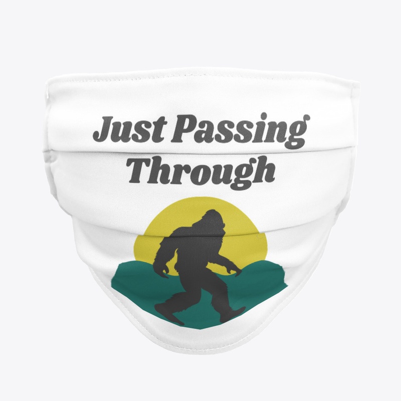 Just Passing Through
