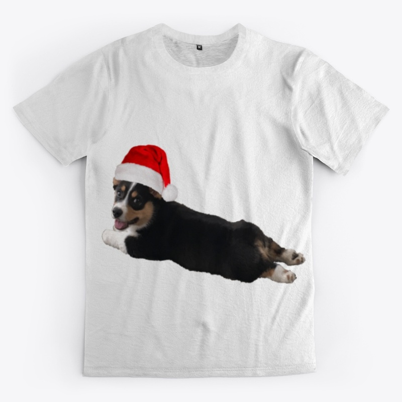 Splootin' Santa