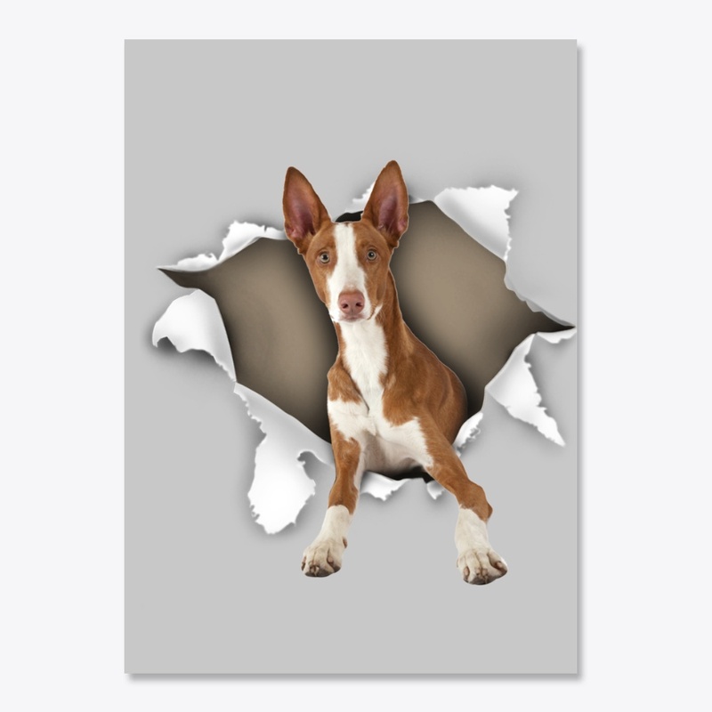 Ibizan Hound Torn Paper