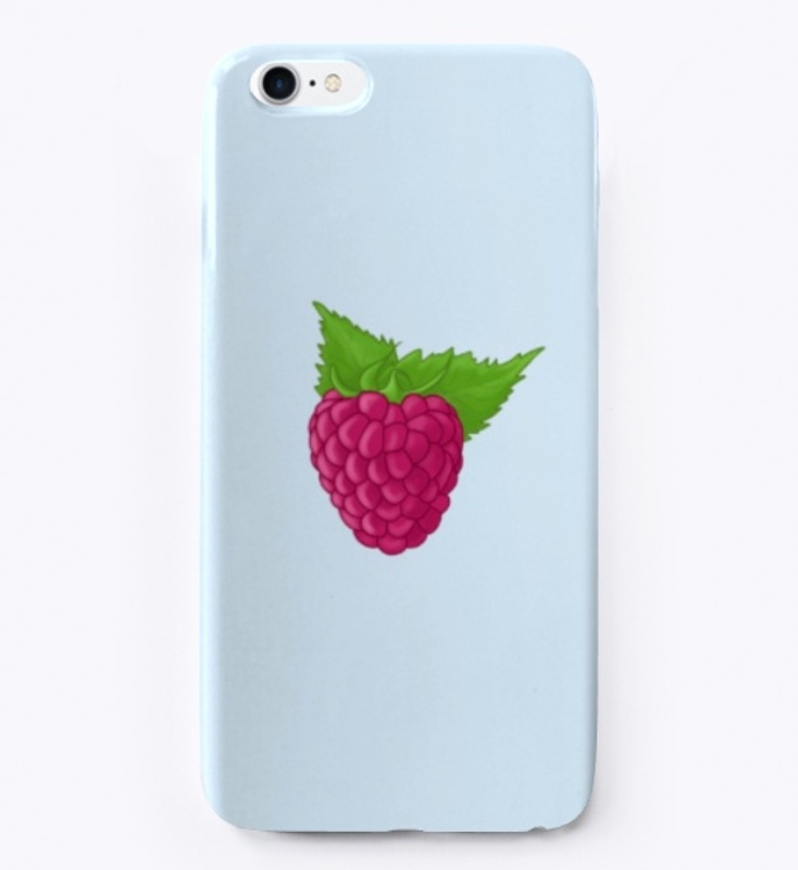 Raspberry Accessories