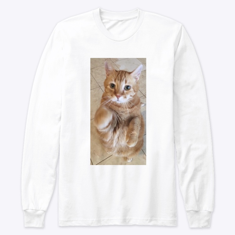 Morris the Cat Collection