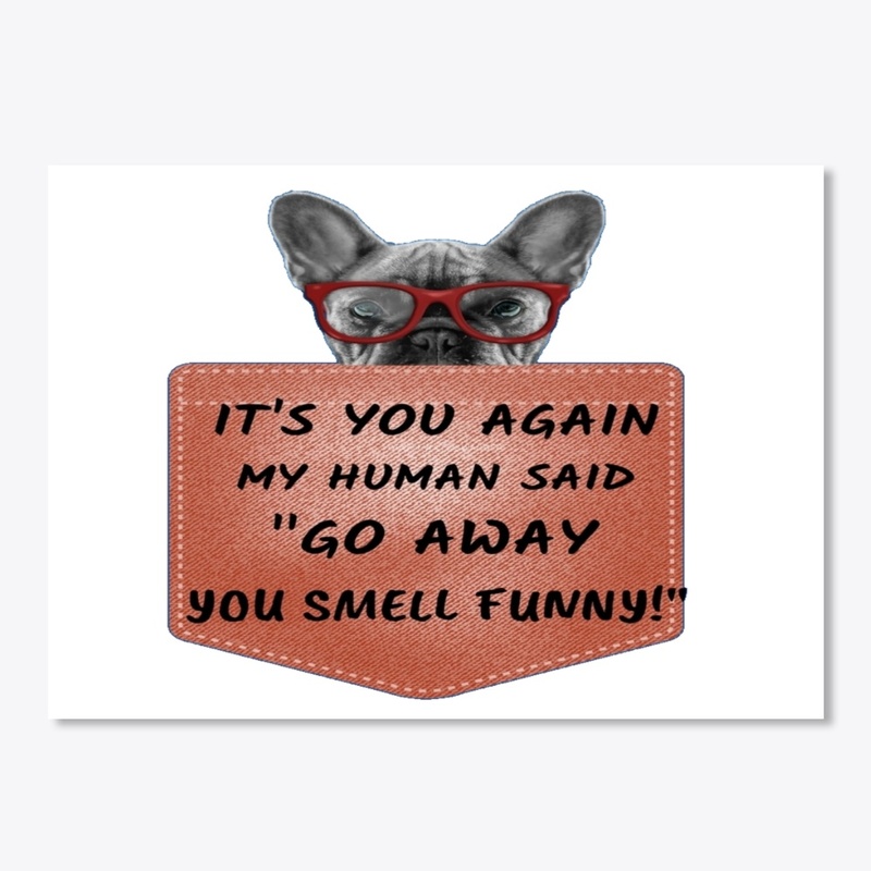 IT'S YOU AGAIN MY HUMAN SAID "GO AWAY"  