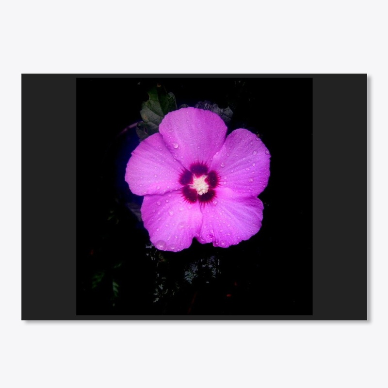 small purple flower 